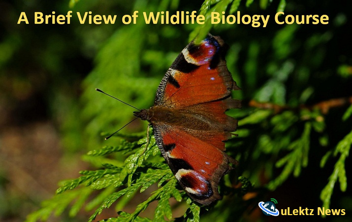 Wildlife Biology banner